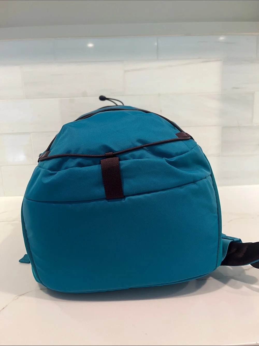 Patagonia NEW Refugio Daypack 30L Backpack
